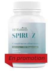 Nouvelle Pack