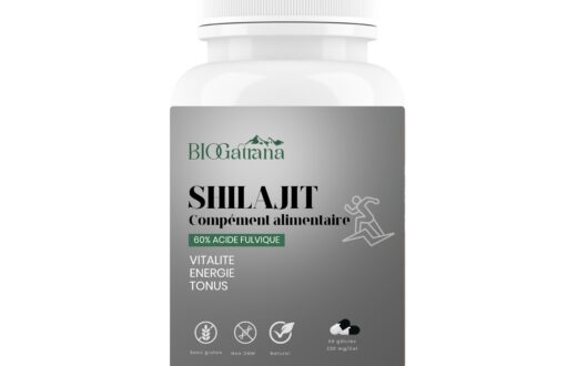 SHILAJIT 60% acide fulvique