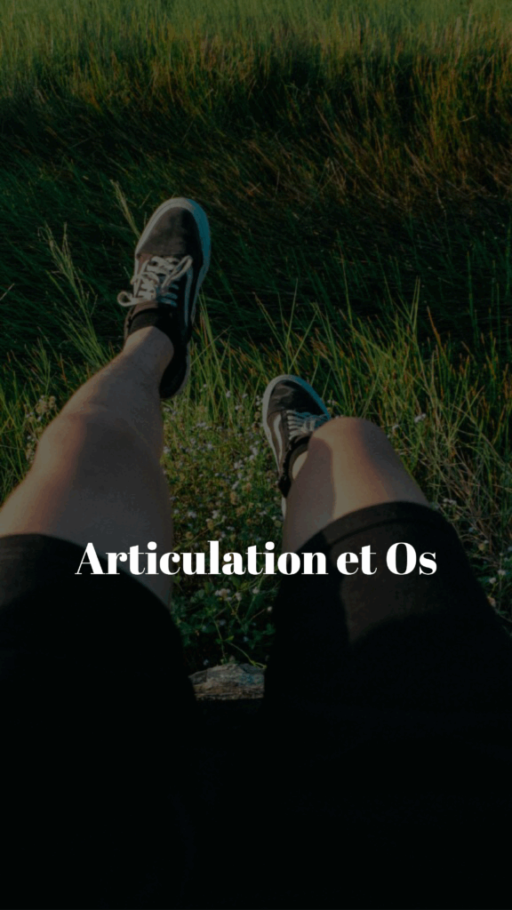categorie 01